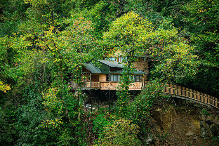 Secluded Treehouses